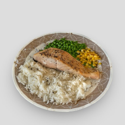 Salmon Lunch