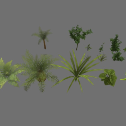 Greenhouse Foliage