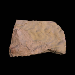 Reptile - Footprints