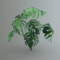 Monstera Tree