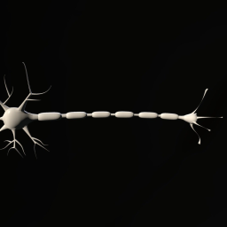 Neuron