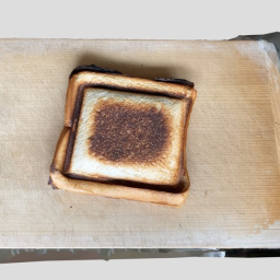 hot sandwich