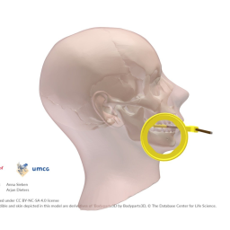 Dental Intra oral X-ray Pos - empty annotation