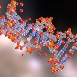 DNA Methylation