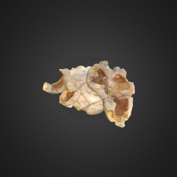 Popcorn Flake