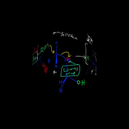 SN2 Demo