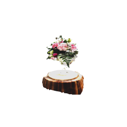 Pink roses arrangement