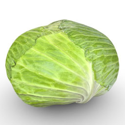 Cabbage