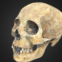 Skull 10 (version 1)