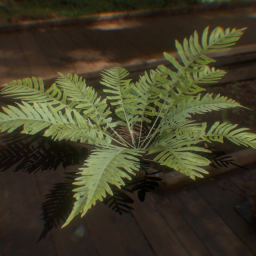 Plant Bush