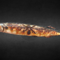 Salt-Grilled Pacific Saury (Sanma no Shioyaki)