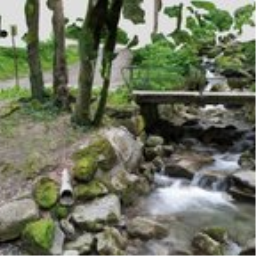 River and small bridge in the nature