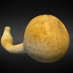 Calabash - Bottle Gourd dried punctured