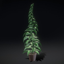 Office Plant 1