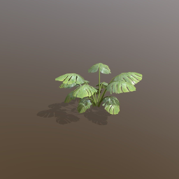 Tropical Plant