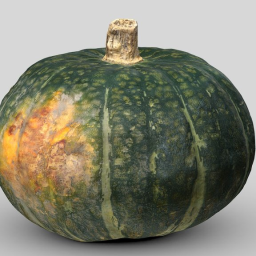 Kabocha Squash Version 1