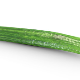 Cucumber (Game Ready  2K PBR)