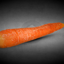 Carrot