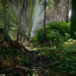 Forest fly-through test