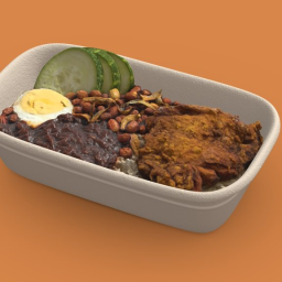 Food (Delicious Nasi lemak)