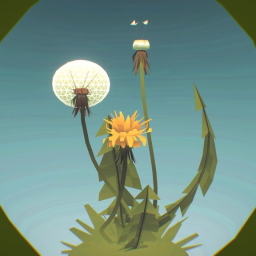 Dandelion plant