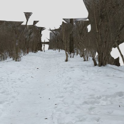 Forest trail