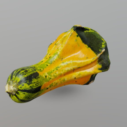 Autumn Wing Gourd