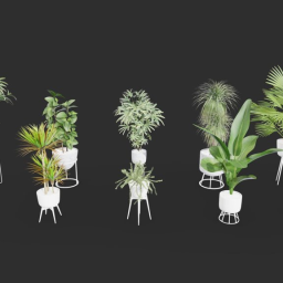 Plant In pot asset pack
