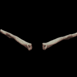 Left and Right Clavicles 18yo male
