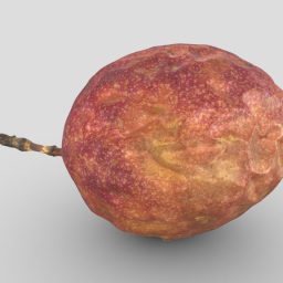 Passion Fruit