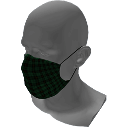 DYI Bandana Face Covering with filter