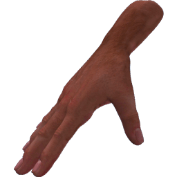 Palm