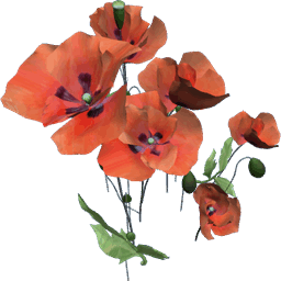 Flower Bunch