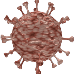 Coronavirus