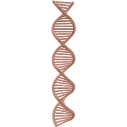 DNA