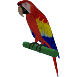 Parrot