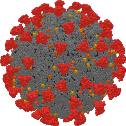 Corona Virus