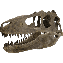 Teratophoneus Curriei Head