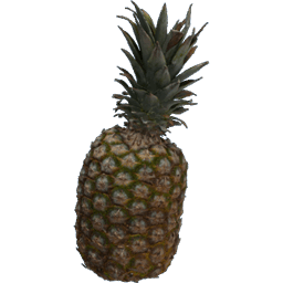 Pineapple