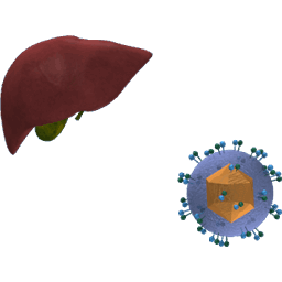 Hepatitis C