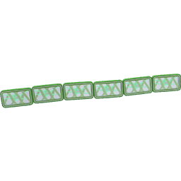 Fragmentation in Spirogyra