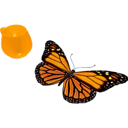 Introduction to Symmetry