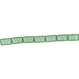Fragmentation in Spirogyra