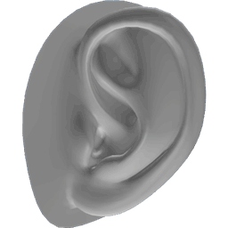 Ear