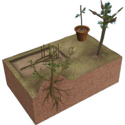 Air, Trench and Mound Layering