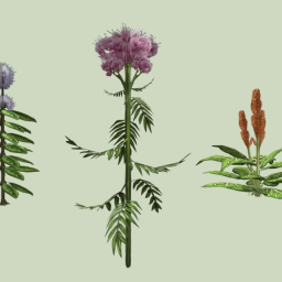 Dock, brookmint, valerian three medicinal plants