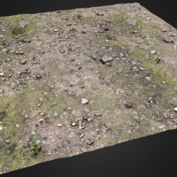 Rocky Ground