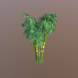 bamboo tree