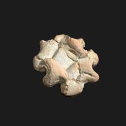 Amaretti - Italian Pastry | Photogrammetry