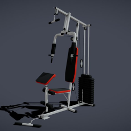 Gym Trainer